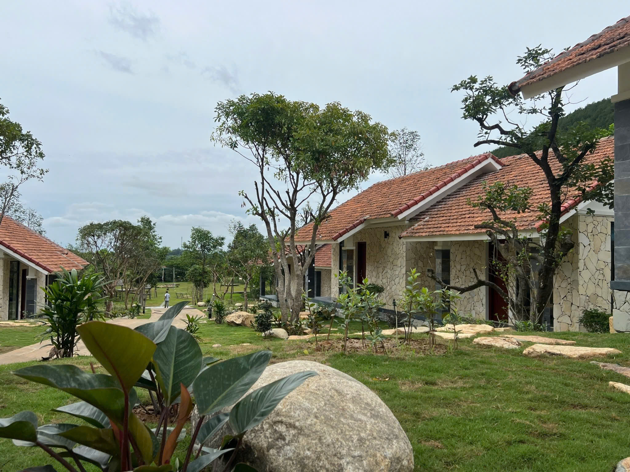 Home Stay Cao Cấp
