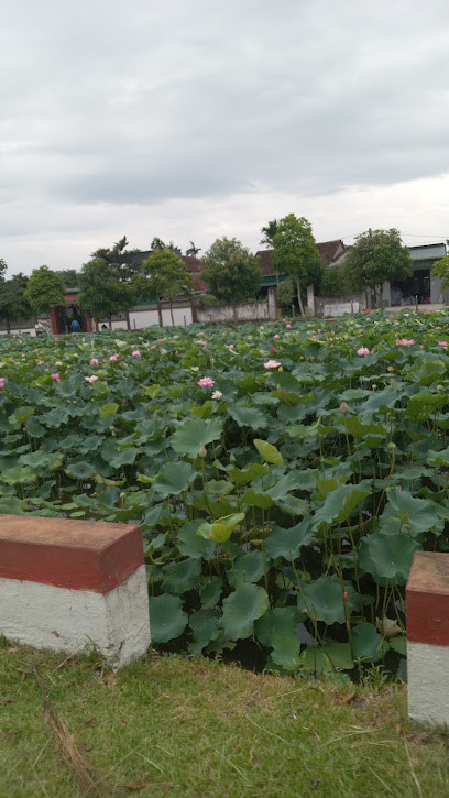 Điểm du lịch thú vị